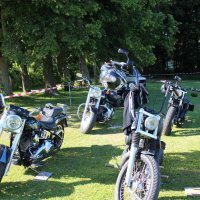 Harley-Davidson Treffen 